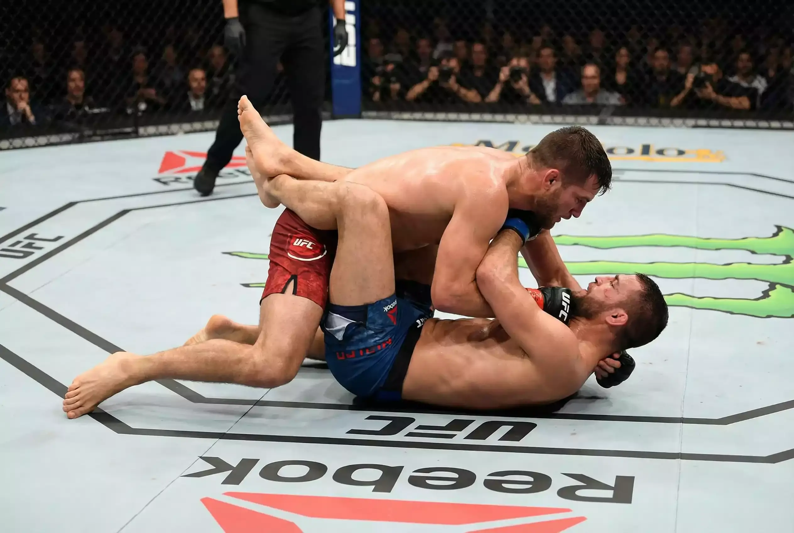 MMA-Kämpfer im Bodenkampf, einer kontrolliert die Position