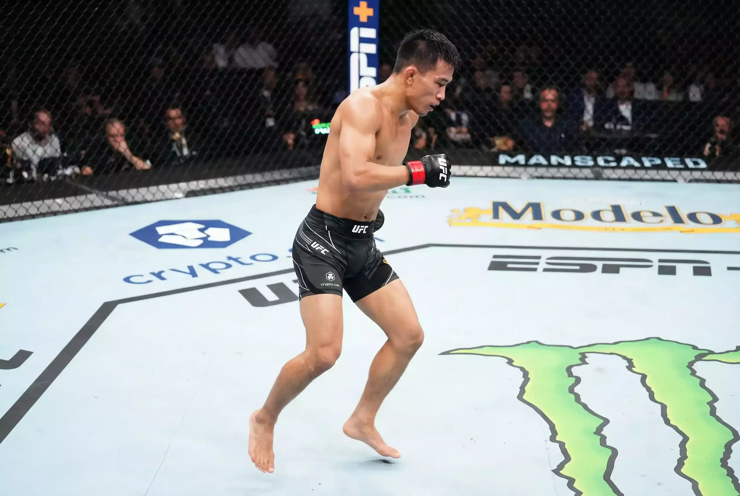 Schneller MMA-Kämpfer im Fliegengewicht zeigt technische Bewegung