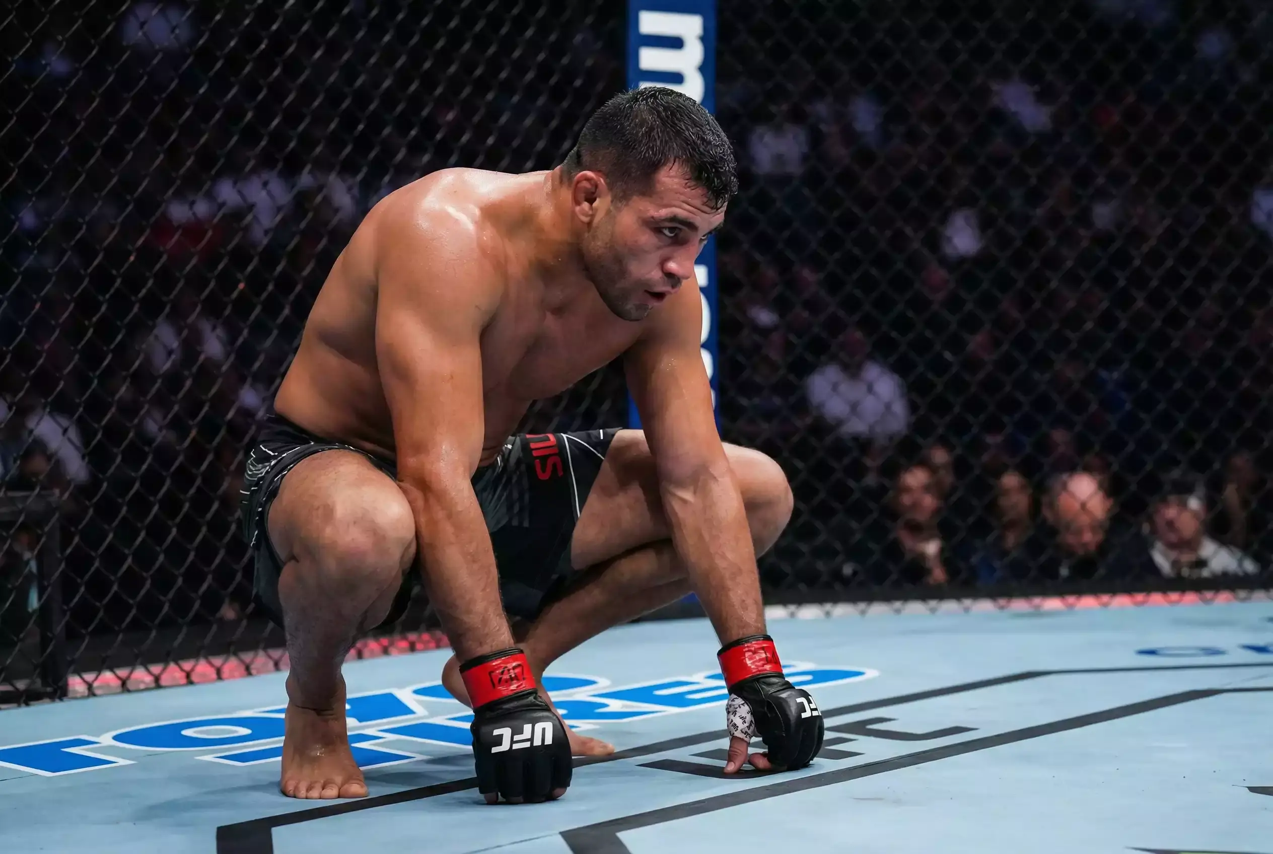 MMA-Kämpfer in Kampfhaltung im Octagon